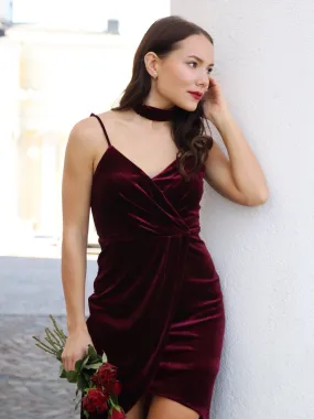 Alisa Pan Red Velvet Cocktail Dress